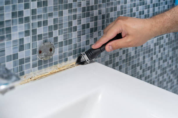 Best Attic Mold Removal  in Waldwick, NJ
