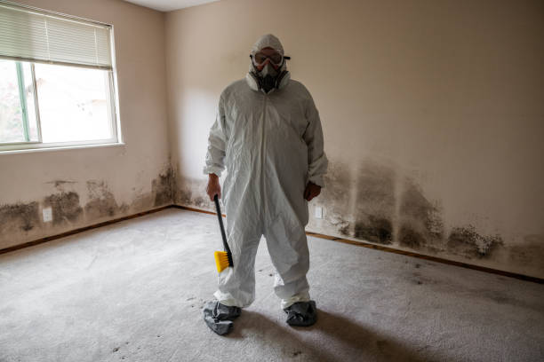 Best Office Mold Removal Services  in Waldwick, NJ